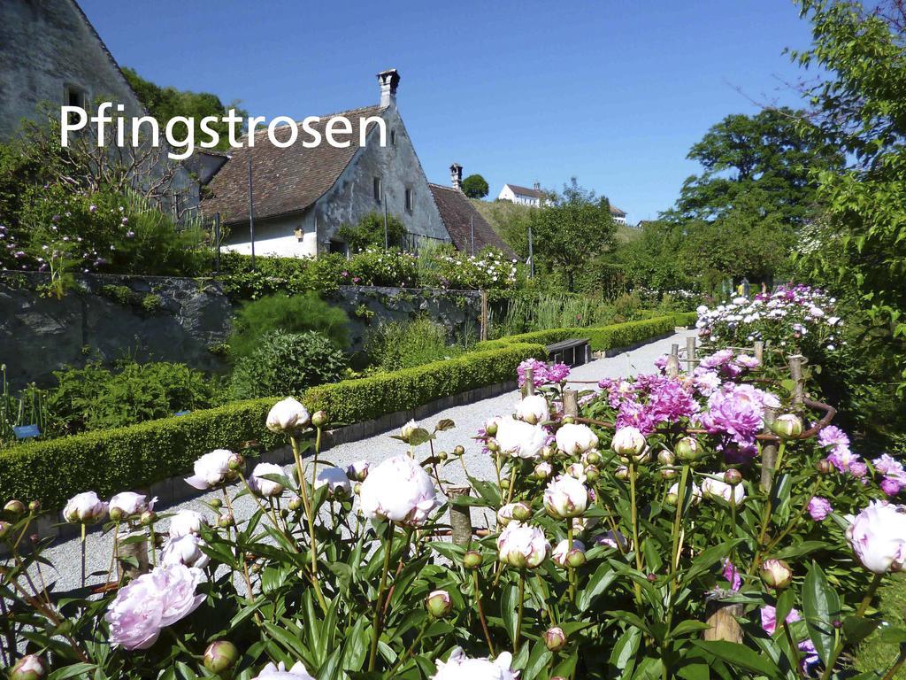 Kartause Ittingen Hotel 3*